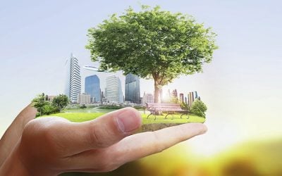 Edificación ECCN, Passivhaus y sostenibilidad